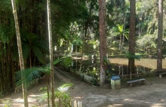 WhatsApp Image 2026-01-13 at 10.40.37 (1)