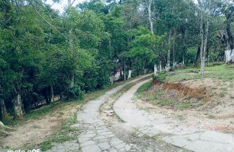 WhatsApp Image 2026-01-13 at 18.38.28